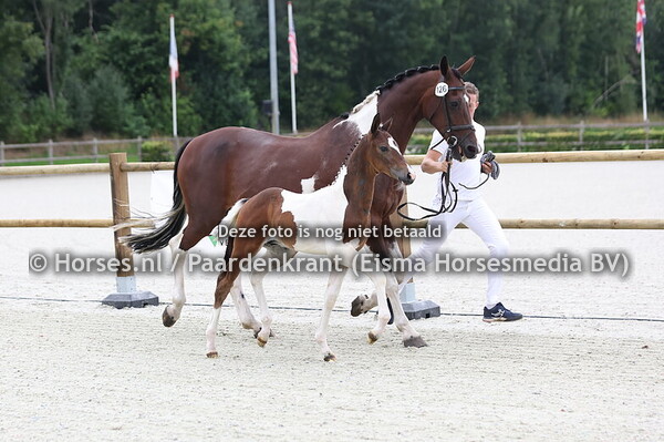 126 Valentino (One Million x Dustyvera v. Kansas)