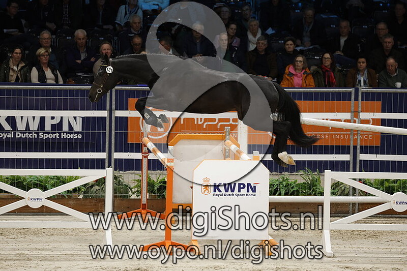 Rapido v. Messini De F - 121