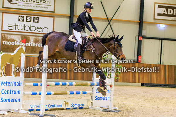 LRV De Heibloem - Green Valley 90cm 08-12-24