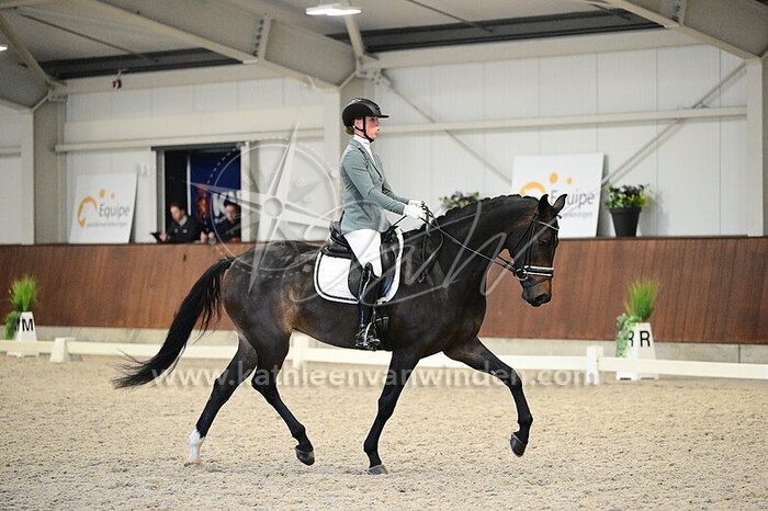 Dana van der Meer - Saffier