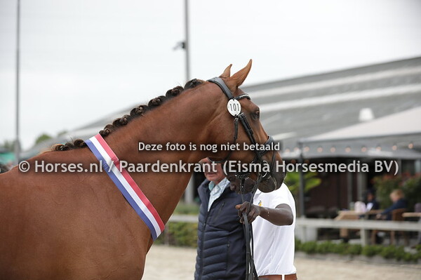 101 Kansas (Estoril x Uhway v. Norway)