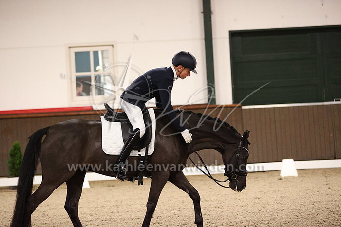 Jilles Timmers - Duc De D'arbanville