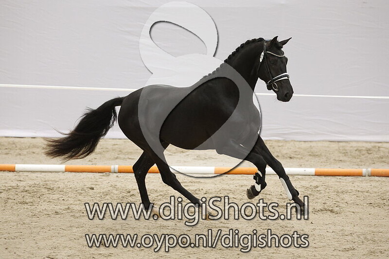 Second Level v. Next Level