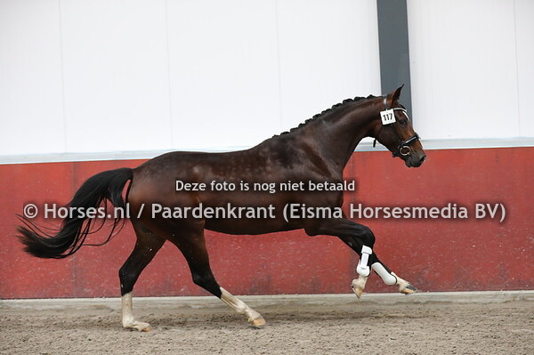 117 Magali CM vd Wolfshoeve