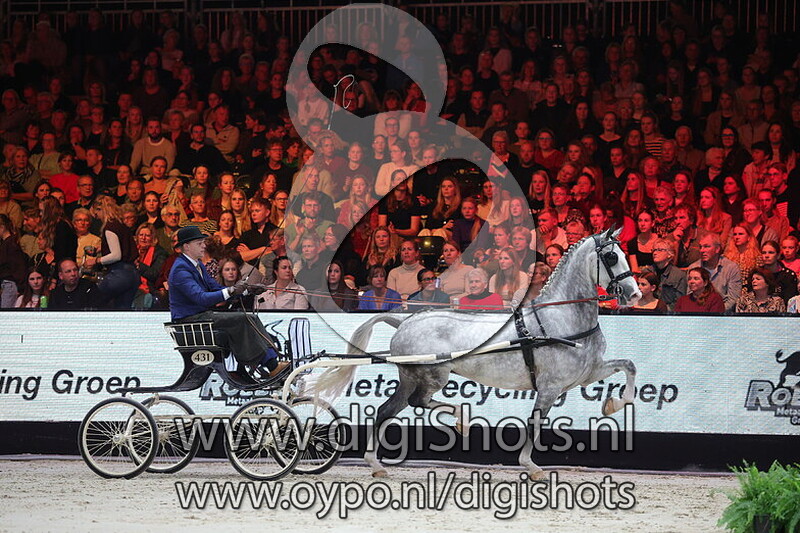 02 Tuigpaarden - Young Riders voor de concourswagen