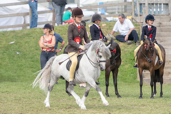 Royal Welsh Wednesday
