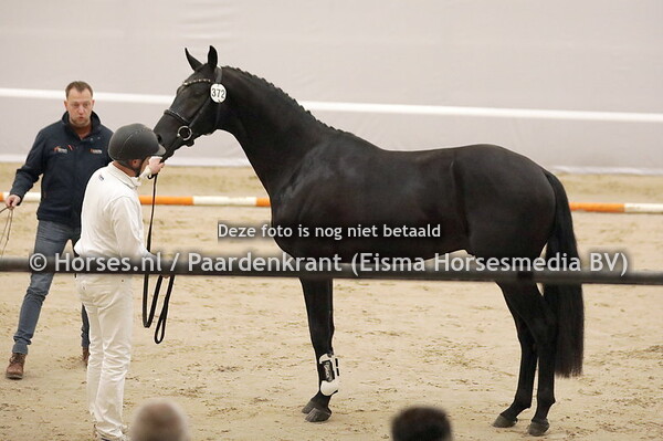 372 Royal Dior RH (Furst Dior x Just for You v Arman)