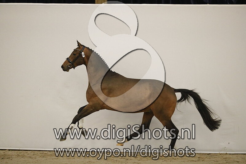 Masterpiece v. Franklin