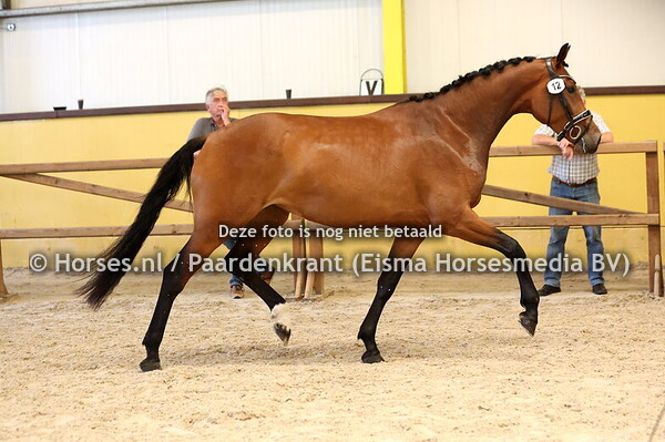 12 Spring Valley AC (Las Vegas x Doortje v. Zucchero)