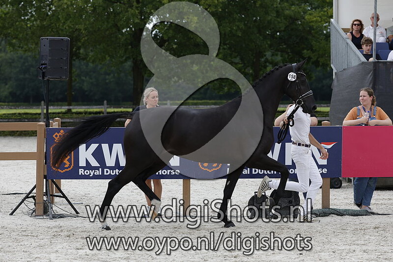 Parlani MVH v. Kjento