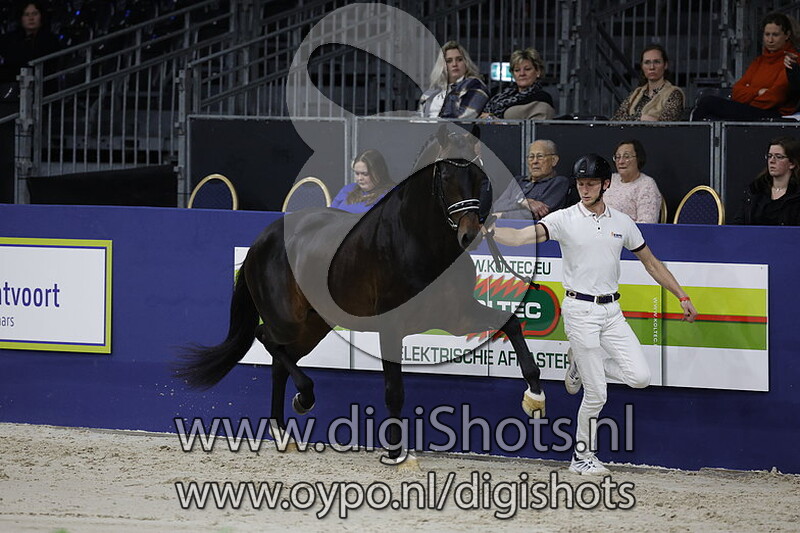 Ready To Rumble v. Le Formidable - 466