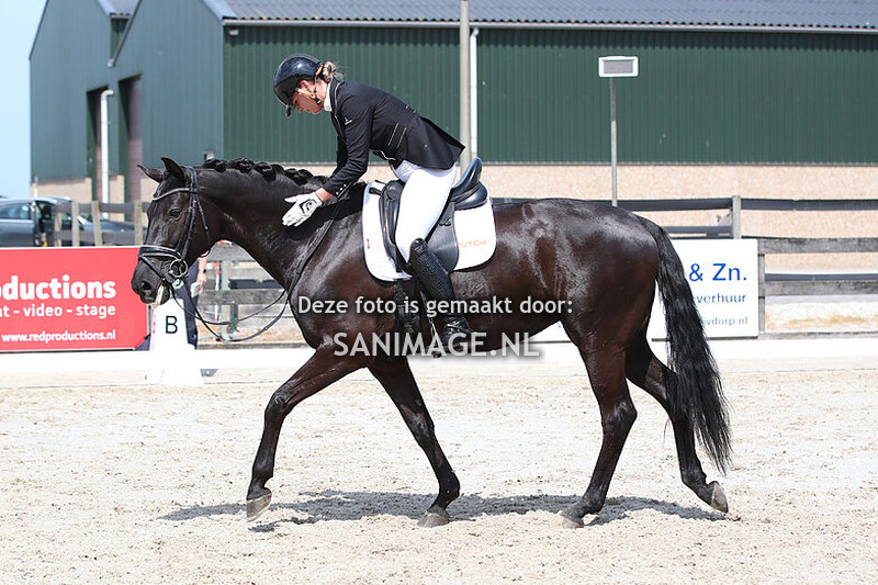 Reigersburgh 19-05-2023 Dressuur 10.00 uur (Ring 1)