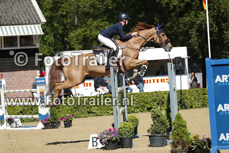 lily freeman attwood