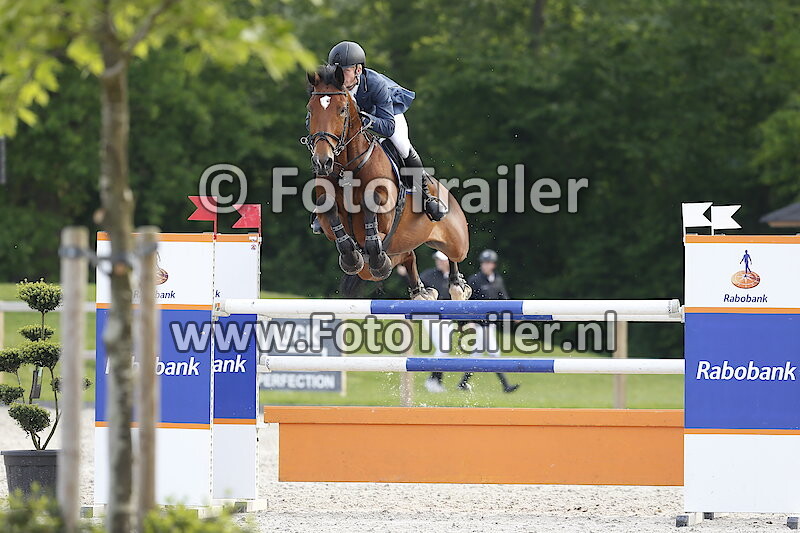 Dennis van den Brink