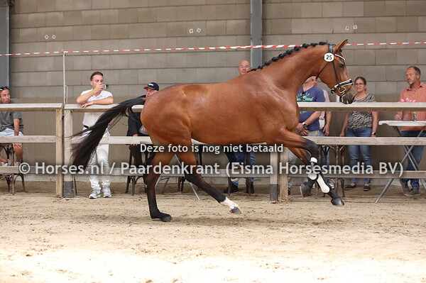 25 Salsa Dottie (Las Vegas x Della D'ottie)