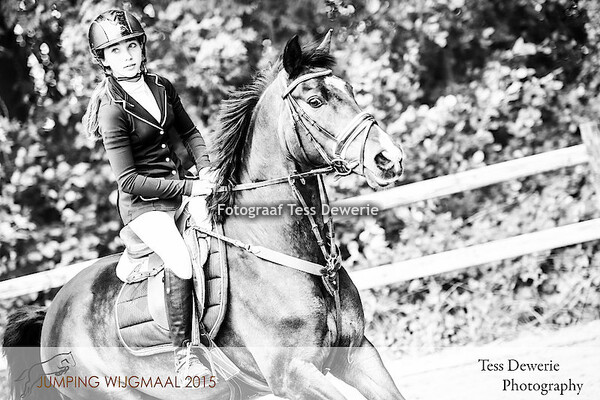 JUMPING WIJGMAAL 2015