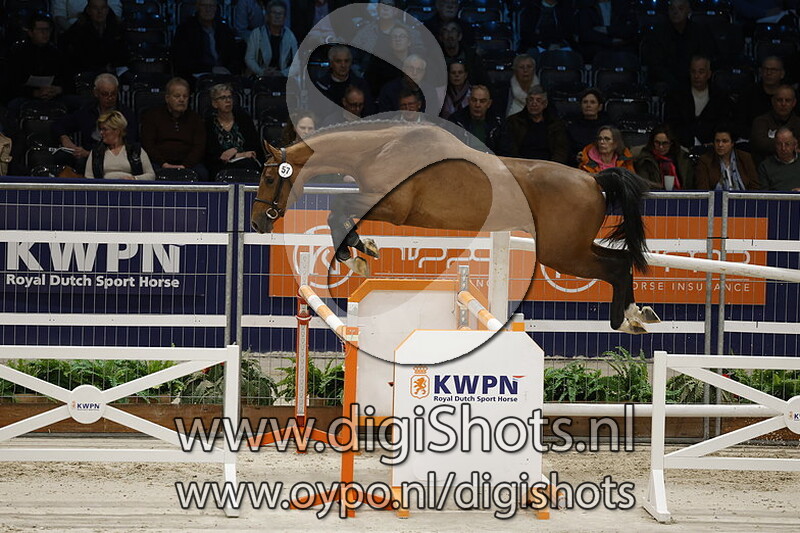 Ravello Van De Hagenhorst v. Dourkhan Hero Z  - 057