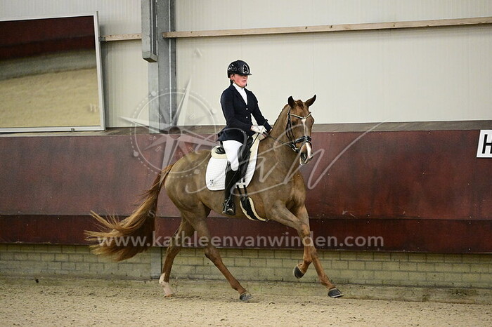 Jet van Lonkhuijzen - Singorita Samba HVR