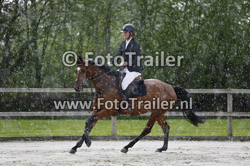 roderick van den engh