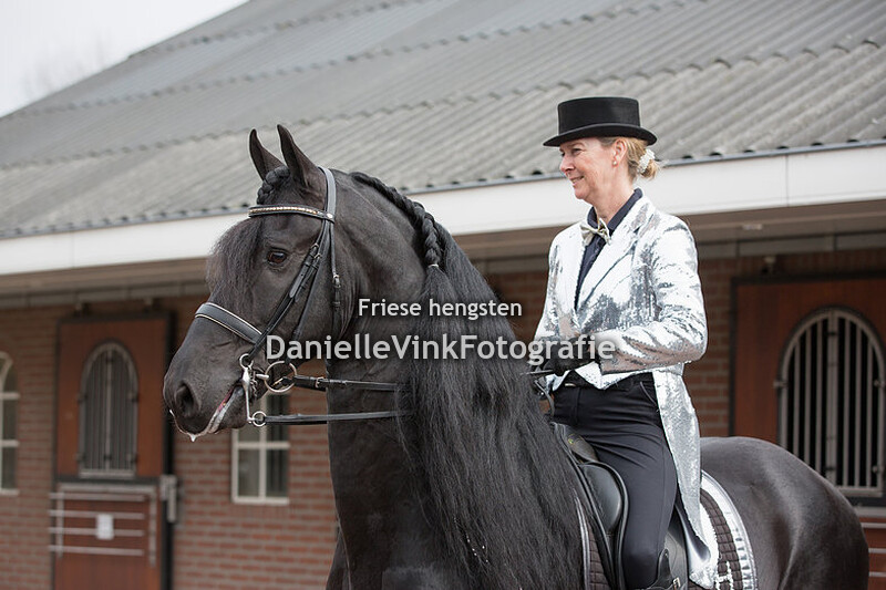 Hengstenshow 02-04-2018