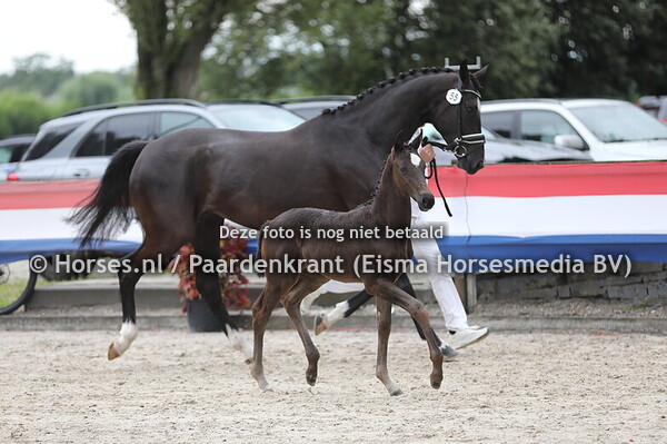 55 Utopia van Kluizerheide