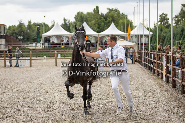78. Liefke fan de Ketting