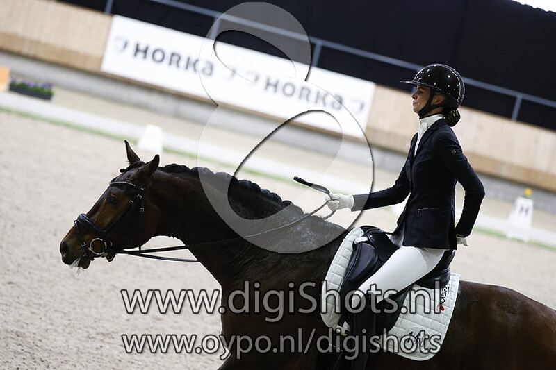 Next Million Dollar Boy Evo