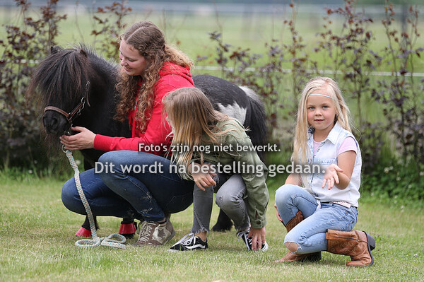 Agility Honey en Beauty