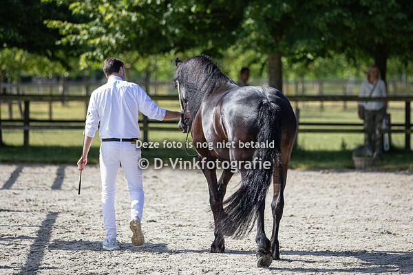 32. Saartje van 't Zegtveld