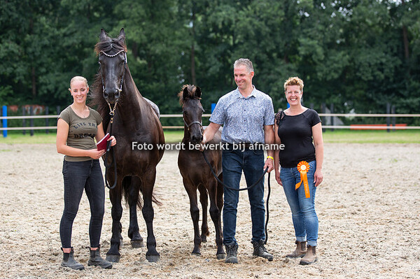 36. Novaa van Raepshille