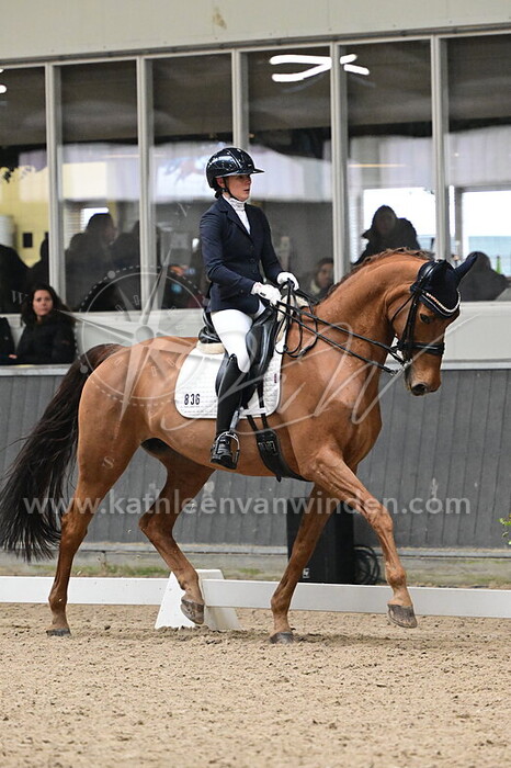 Julia Roos Steenbakkers - Fatal Attraction