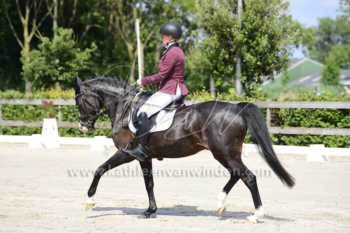 Marieke Snoek - Land Houdt Stand Liberty