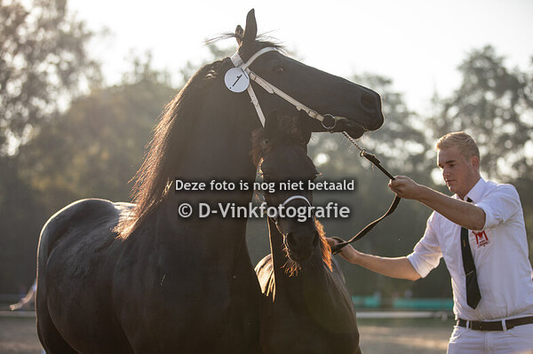 01. Brent fan e Kruisbout