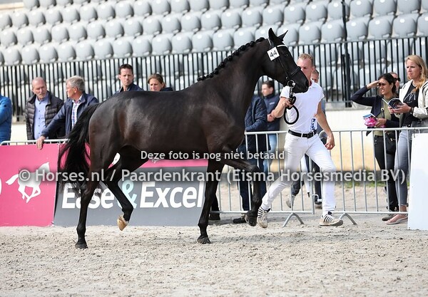 44 Layla Electra (Governor x Elektra vd Kwaplas v. Sandro Hit) (3)