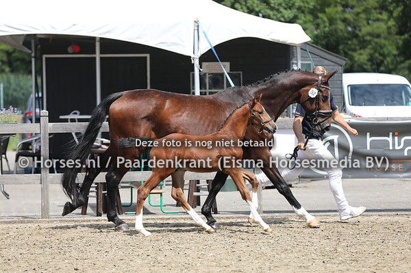 52 Special Design MN