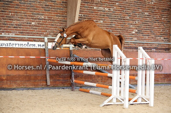 14 Salena-Loma (Emerald van't Ruytershof x Etoloma)