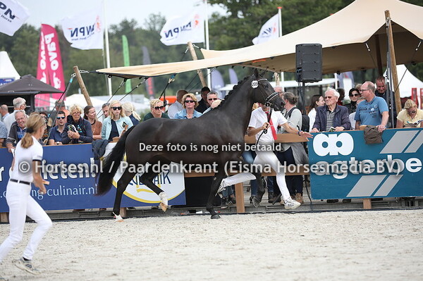 209 Leoneda (Governor x Eda v. Zhivago)