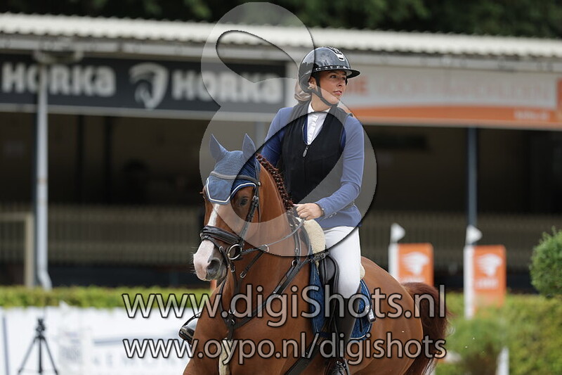 Paarden 0.90 cm 1e ronde