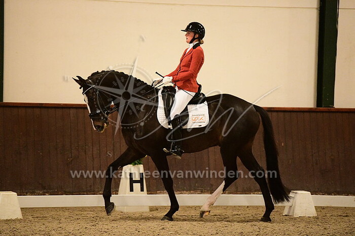 Noortje van der Hoff