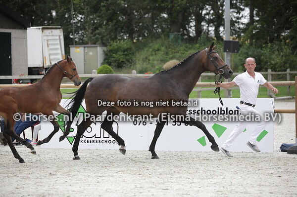 67 Chegannie (Numero Un x Legannie v. Bernstein)