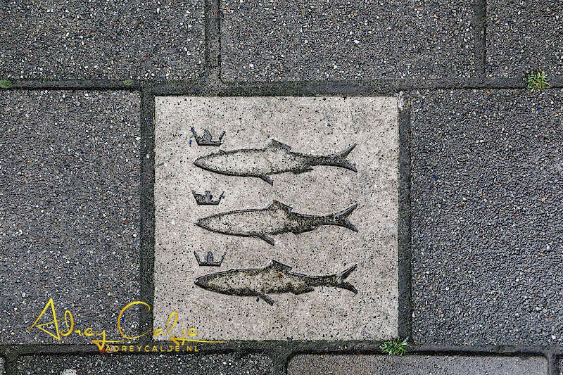 Vlaggetjesdag Scheveningen 2016