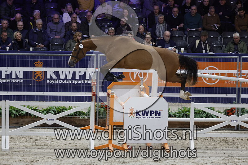 Popeye DBL v. Carrera VDL - 019