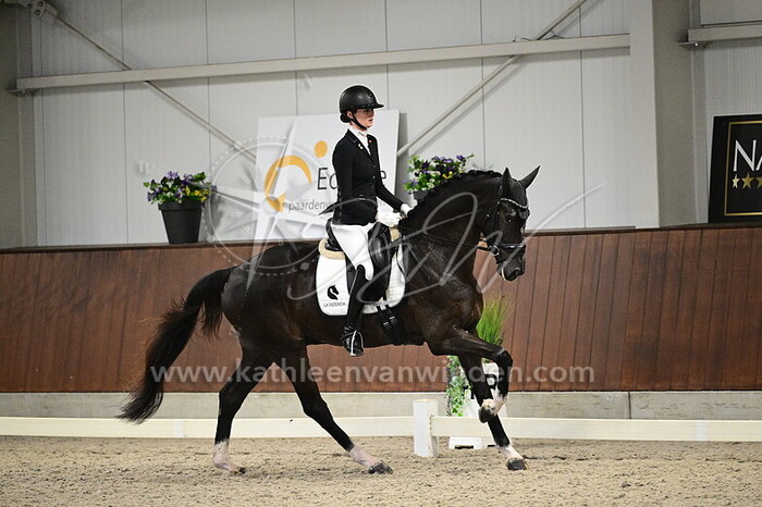 Thalia Rockx - Rheinhart