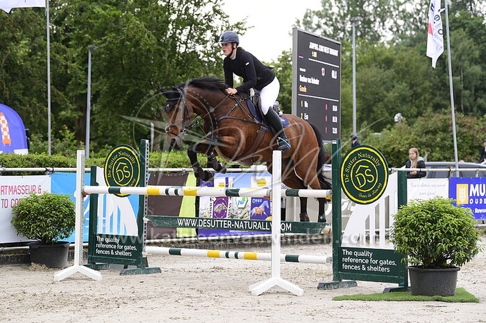 Daphne van Splunter - Google