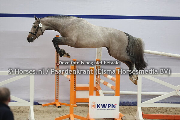 49 (Contagio Z x Kannan)