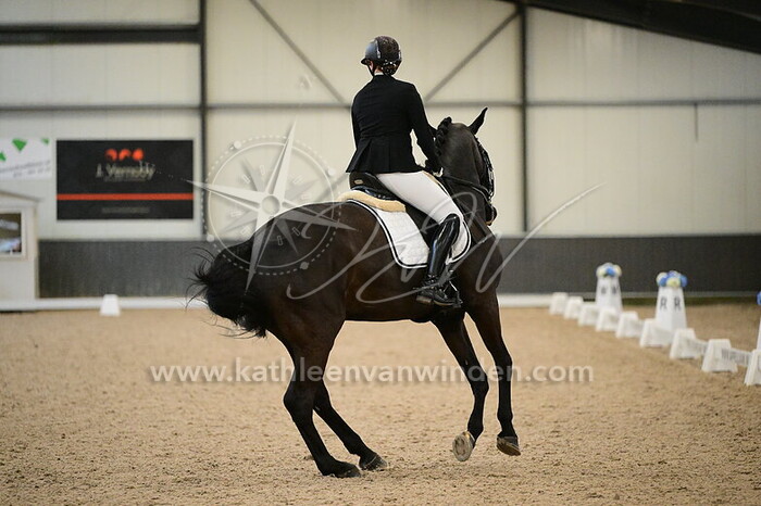 Anouk Fokken - Newton SKL