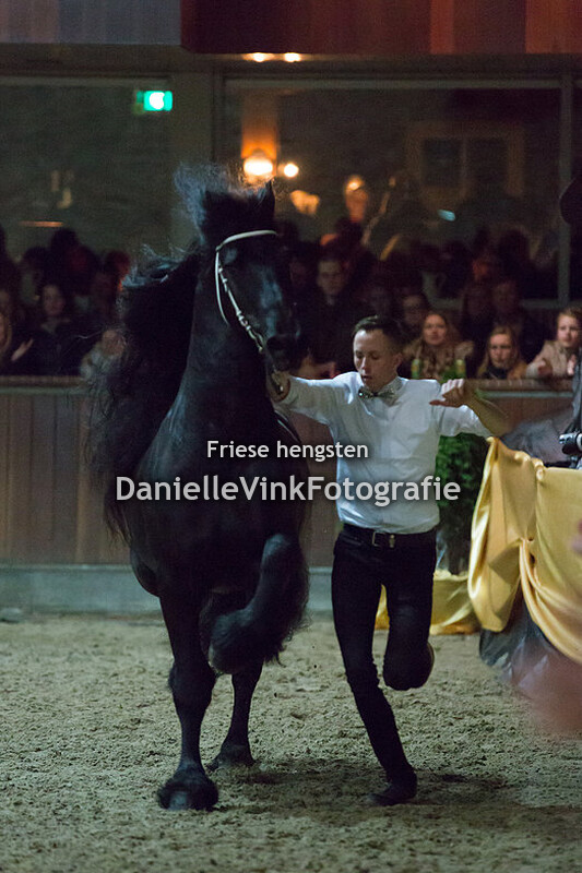 Hengstenshow Lunteren 24-02-2018 - Take 455