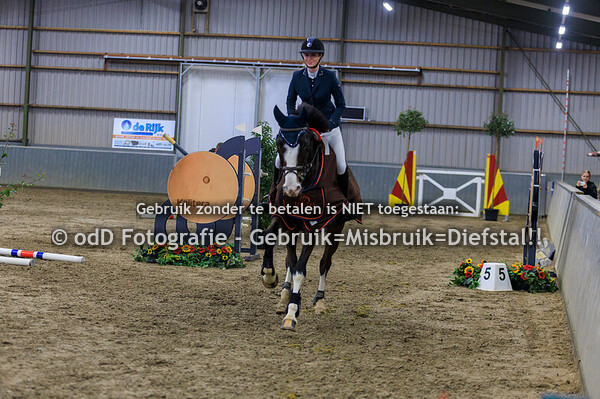 LK Maasruiters 140cm Vosberg 21-02-25