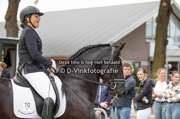 20. Finale bestgaand rijpaard ruin/ hengst