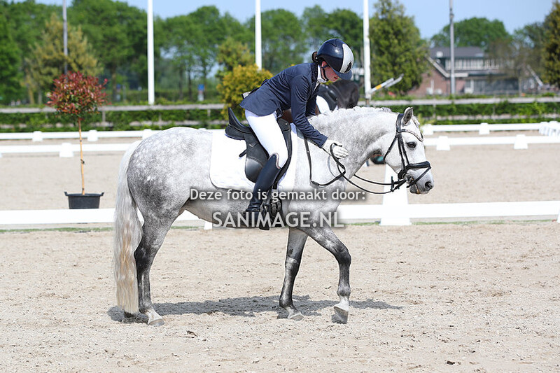 Zilfia's Hoeve Dressuur 28-05-2023 M